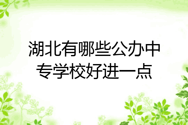 湖北有哪些公办中专学校好进一点