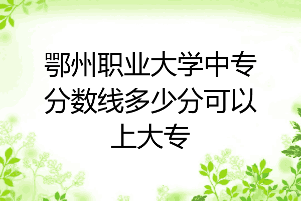 鄂州职业大学中专分数线多少分可以上大专