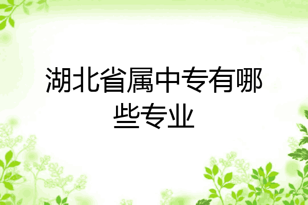 湖北省属中专有哪些专业