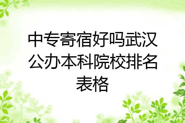 中专寄宿好吗武汉公办本科院校排名表格