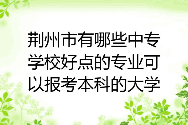 荆州市有哪些中专学校好点的专业可以报考本科的大学