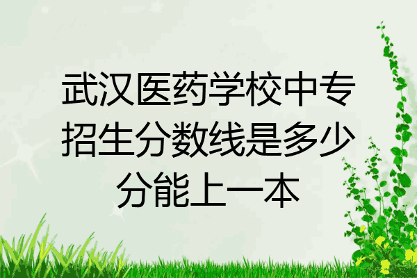 武汉医药学校中专招生分数线是多少分能上一本