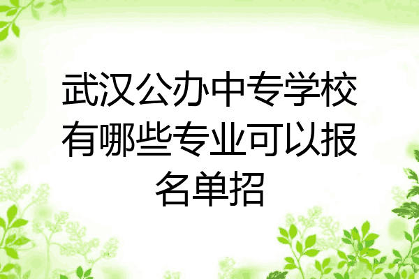 武汉公办中专学校有哪些专业可以报名单招