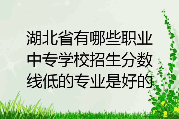 湖北省有哪些职业中专学校招生分数线低的专业是好的