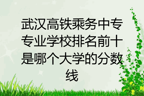 武汉高铁乘务中专专业学校排名前十是哪个大学的分数线