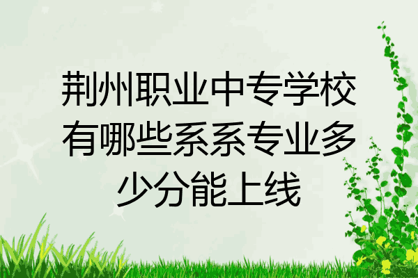 荆州职业中专学校有哪些系系专业多少分能上线