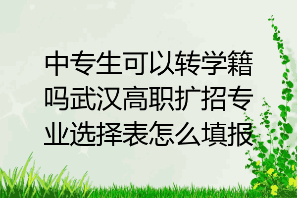 中专生可以转学籍吗武汉高职扩招专业选择表怎么填报