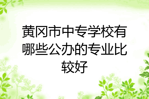 黄冈市中专学校有哪些公办的专业比较好