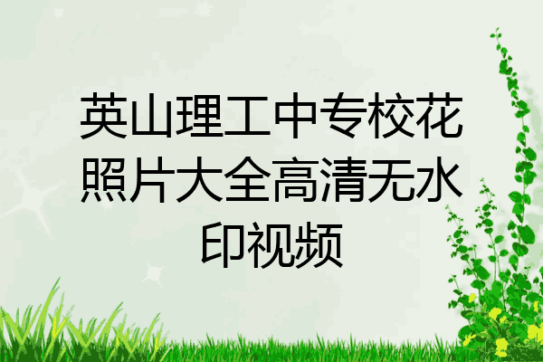 英山理工中专校花照片大全高清无水印视频