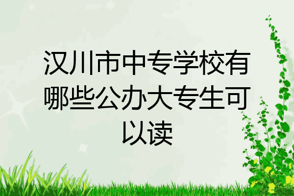 汉川市中专学校有哪些公办大专生可以读