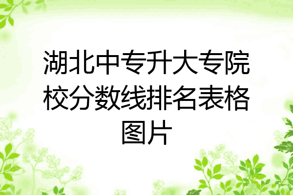 湖北中专升大专院校分数线排名表格图片