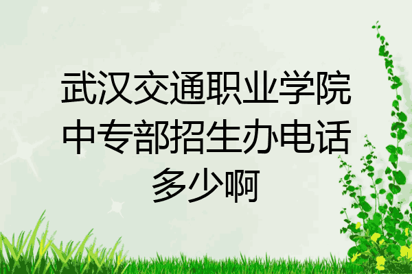 武汉交通职业学院中专部招生办电话多少啊