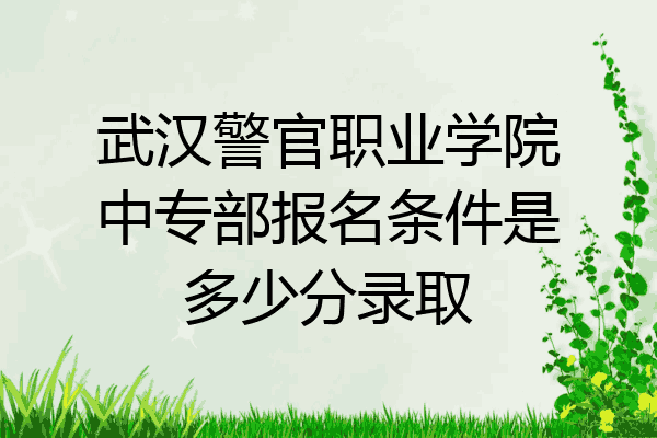 武汉警官职业学院中专部报名条件是多少分录取