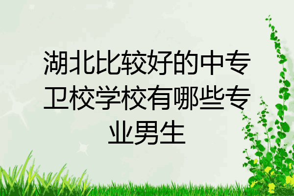湖北比较好的中专卫校学校有哪些专业男生