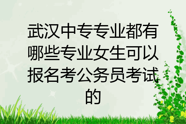 武汉中专专业都有哪些专业女生可以报名考公务员考试的