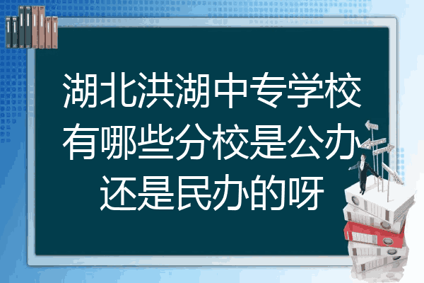 湖北洪湖中专学校有哪些分校是公办还是民办的呀
