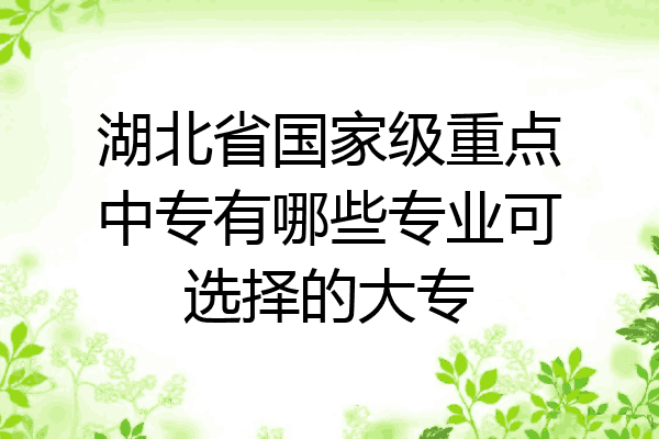 湖北省国家级重点中专有哪些专业可选择的大专