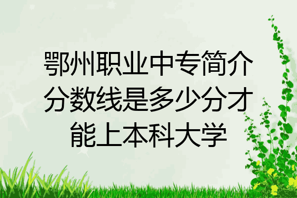 鄂州职业中专简介分数线是多少分才能上本科大学