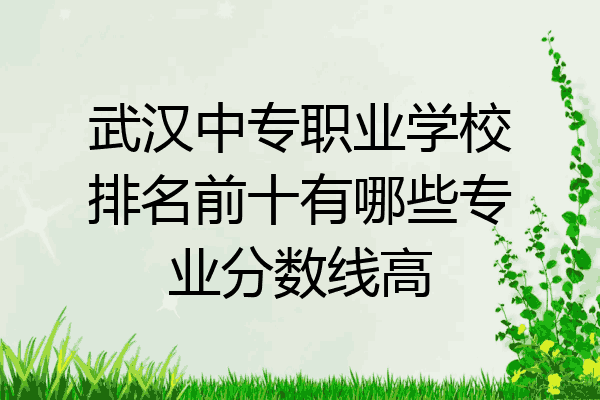 武汉中专职业学校排名前十有哪些专业分数线高