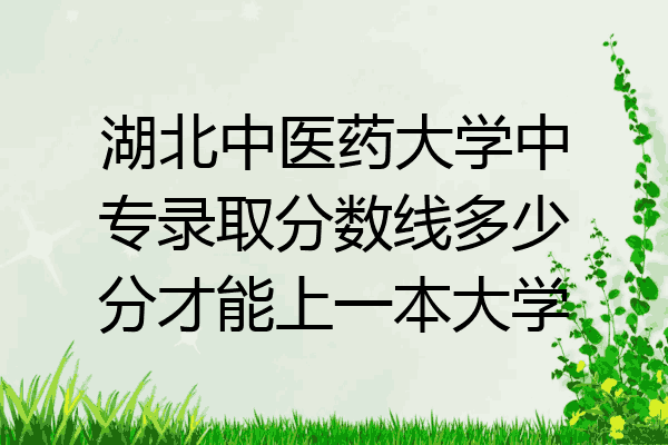 湖北中医药大学中专录取分数线多少分才能上一本大学