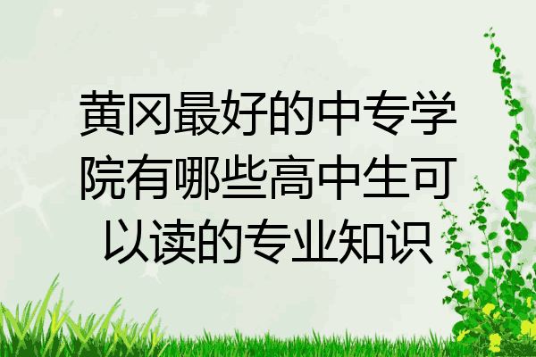 黄冈最好的中专学院有哪些高中生可以读的专业知识