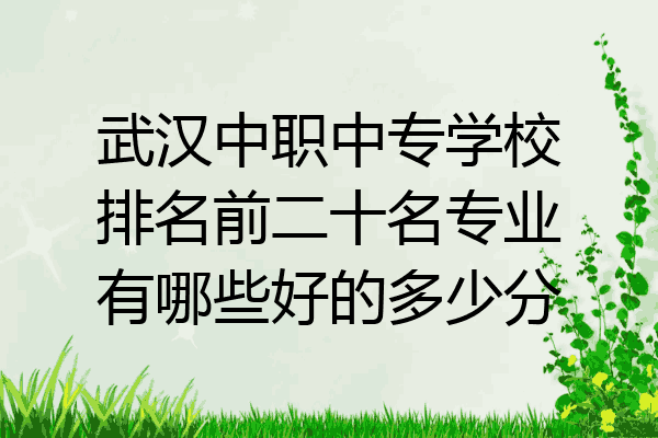 武汉中职中专学校排名前二十名专业有哪些好的多少分