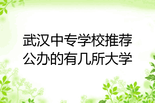 武汉中专学校推荐公办的有几所大学
