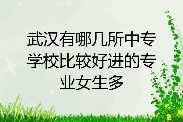 武汉有哪几所中专学校比较好进的专业女生多