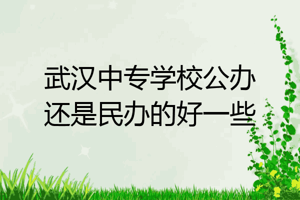 武汉中专学校公办还是民办的好一些