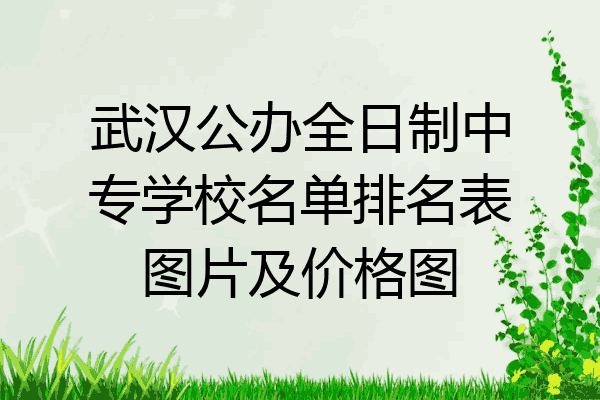 武汉公办全日制中专学校名单排名表图片及价格图