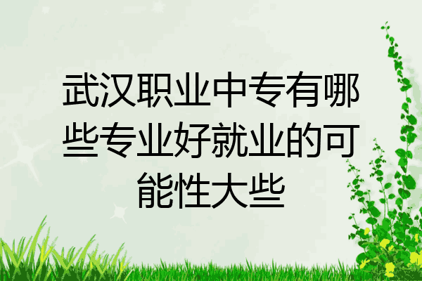 武汉职业中专有哪些专业好就业的可能性大些