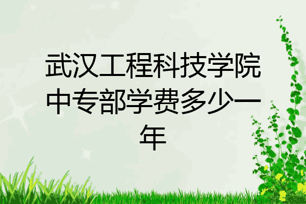 武汉工程科技学院中专部学费多少一年