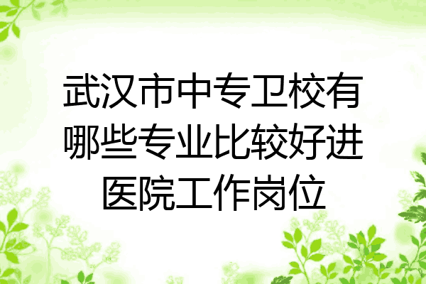 武汉市中专卫校有哪些专业比较好进医院工作岗位