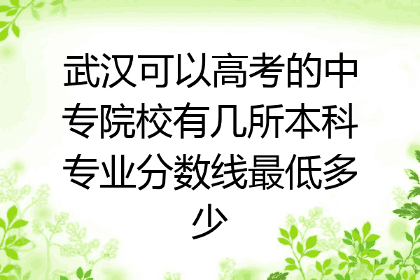 武汉可以高考的中专院校有几所本科专业分数线最低多少