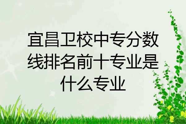 宜昌卫校中专分数线排名前十专业是什么专业