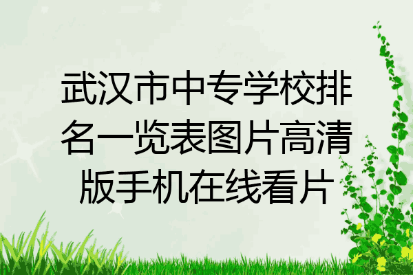 武汉市中专学校排名一览表图片高清版手机在线看片