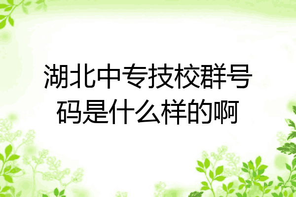 湖北中专技校群号码是什么样的啊