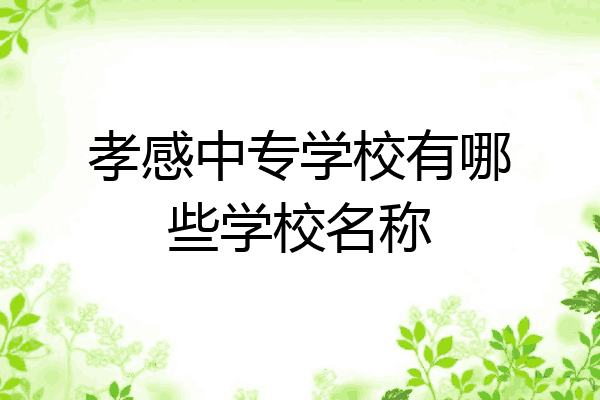 孝感中专学校有哪些学校名称