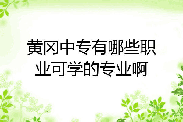 黄冈中专有哪些职业可学的专业啊