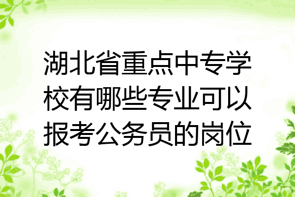 湖北省重点中专学校有哪些专业可以报考公务员的岗位