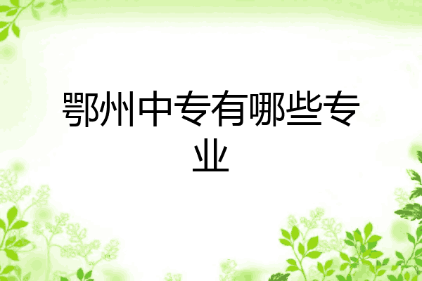 鄂州中专有哪些专业