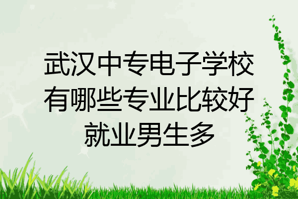 武汉中专电子学校有哪些专业比较好就业男生多