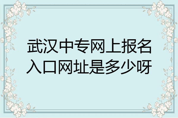 武汉中专网上报名入口网址是多少呀