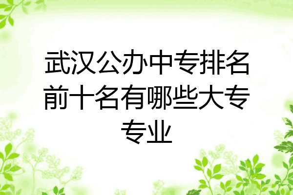武汉公办中专排名前十名有哪些大专专业