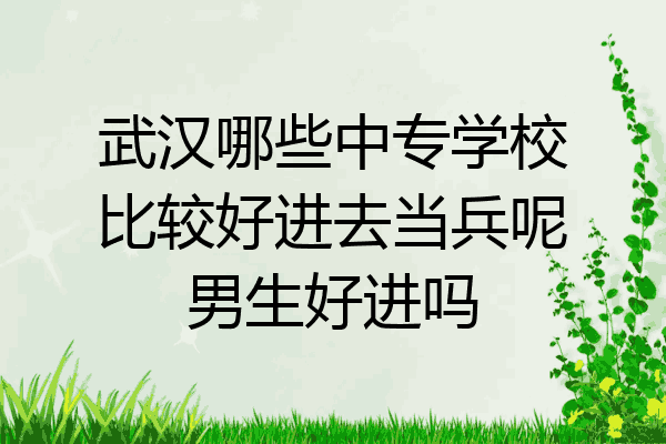 武汉哪些中专学校比较好进去当兵呢男生好进吗