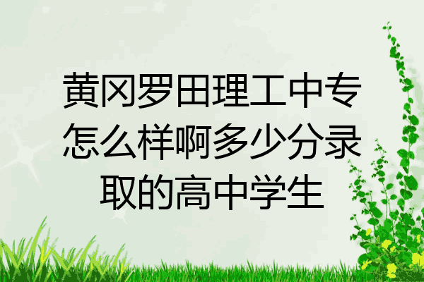 黄冈罗田理工中专怎么样啊多少分录取的高中学生