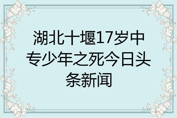湖北十堰17岁中专少年之死今日头条新闻