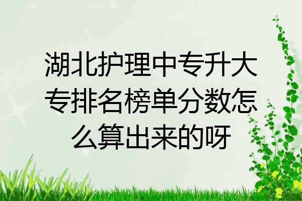 湖北护理中专升大专排名榜单分数怎么算出来的呀