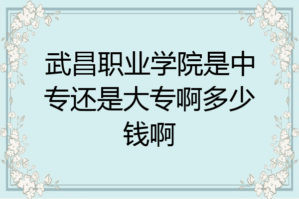武昌职业学院是中专还是大专啊多少钱啊