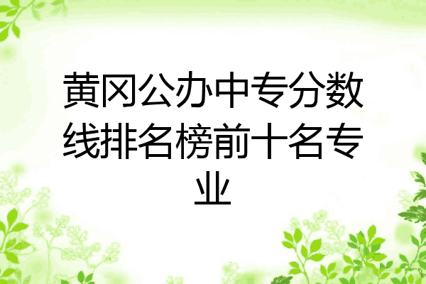 黄冈公办中专分数线排名榜前十名专业